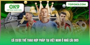 Cá Cược Thể Thao Hợp Pháp Tại Việt Nam Ở Nhà Cái OK9