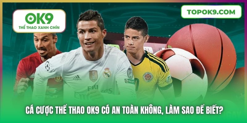 Cá Cược Thể Thao OK9 Có An Toàn Không, Làm Sao Để Biết?