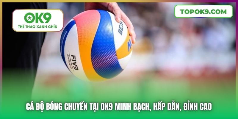 Cá Độ Bóng Chuyền Tại OK9 Minh Bạch, Hấp Dẫn, Đỉnh Cao