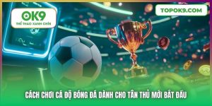 Cách Chơi Cá Độ Bóng Đá Dành Cho Tân Thủ Mới Bắt Đầu