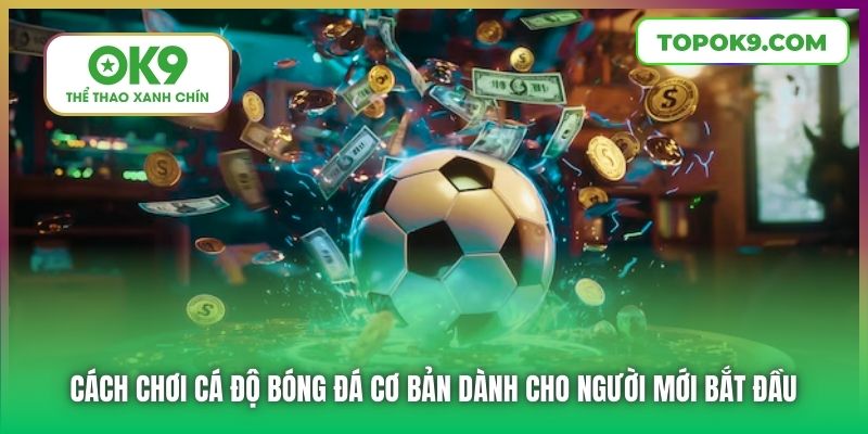 Cách Chơi Cá Độ Bóng Đá Dành Cho Tân Thủ Mới Bắt Đầu Tại OK9 5 Cách chơi cá độ bóng đá cơ bản dành cho người mới bắt đầu