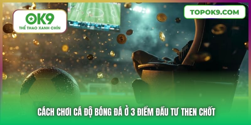 Cách Chơi Cá Độ Bóng Đá Dành Cho Tân Thủ Mới Bắt Đầu Tại OK9 6 Cách chơi cá độ bóng đá ở 3 điểm đầu tư then chốt
