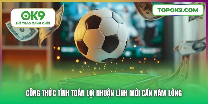 Nắm Vững Luật Chơi Cá Độ Bóng Đá Để Thành Công Khi Đặt Cược Tại OK9 7 Công thức tính toán lợi nhuận lính mới cần nằm lòng