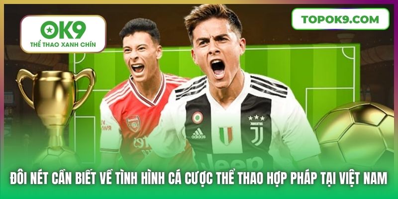 Đôi nét cần biết về tình hình cá cược thể thao hợp pháp tại Việt Nam