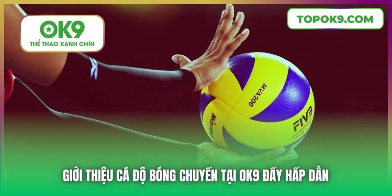 Cá Độ Bóng Chuyền Tại OK9 Minh Bạch, Hấp Dẫn, Đỉnh Cao 5 Giới thiệu cá độ bóng chuyền tại OK9 đầy hấp dẫn