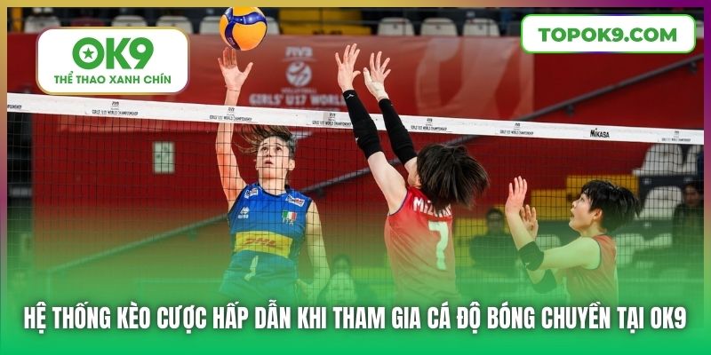Cá Độ Bóng Chuyền Tại OK9 Minh Bạch, Hấp Dẫn, Đỉnh Cao 7 Hệ thống kèo cược hấp dẫn khi tham gia cá độ bóng chuyền tại OK9