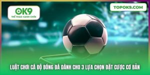Nắm Vững Luật Chơi Cá Độ Bóng Đá Để Thành Công Khi Đặt Cược Tại OK9