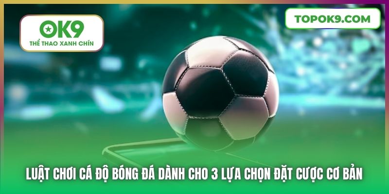 Nắm Vững Luật Chơi Cá Độ Bóng Đá Để Thành Công Khi Đặt Cược Tại OK9 1 Nắm Vững Luật Chơi Cá Độ Bóng Đá Để Thành Công Khi Đặt Cược Tại OK9