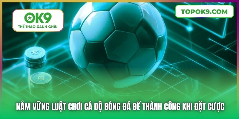 Nắm Vững Luật Chơi Cá Độ Bóng Đá Để Thành Công Khi Đặt Cược Tại OK9 6 Luật chơi cá độ bóng đá dành cho 3 lựa chọn đặt cược cơ bản