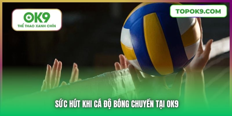 Cá Độ Bóng Chuyền Tại OK9 Minh Bạch, Hấp Dẫn, Đỉnh Cao 6 Sức hút khi cá độ bóng chuyền tại OK9